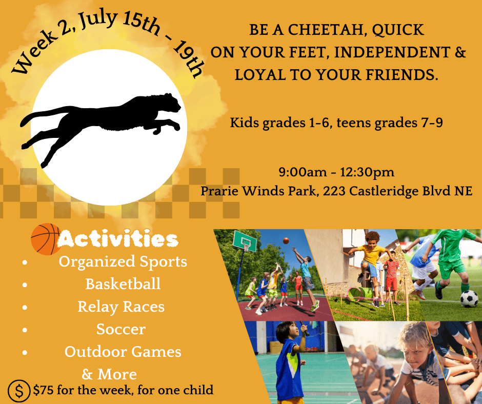 CILI summer camp week 2 Cheetah poster